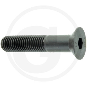 Iso 10642 010.9 M 20 X 100 Granit 4857991 20X100 10S